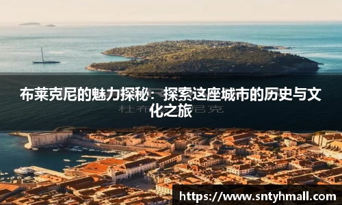 布莱克尼的魅力探秘：探索这座城市的历史与文化之旅